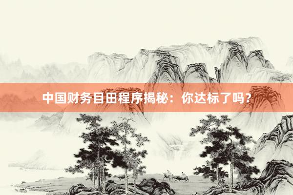 中国财务目田程序揭秘：你达标了吗？
