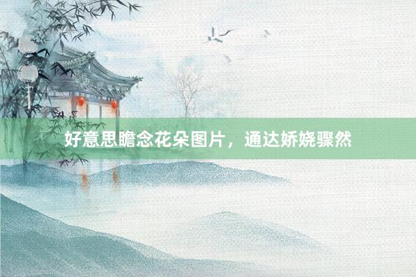 好意思瞻念花朵图片，通达娇娆骤然
